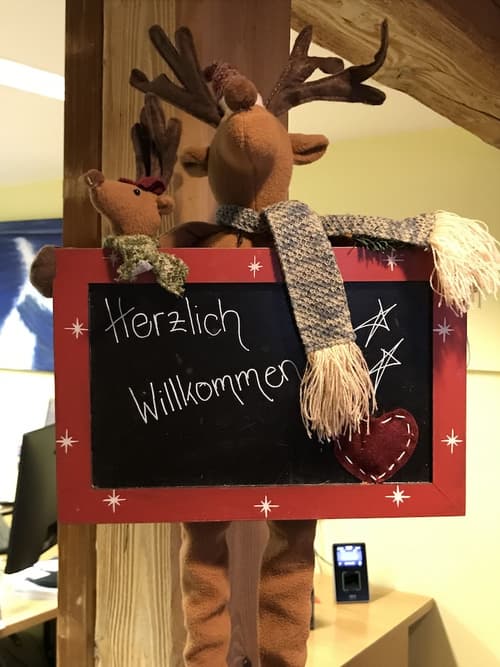 Hotel Bären - The Bear Inn