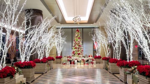 Hilton Americas-Houston
