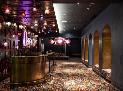 Naumi Studio Wellington, Reception