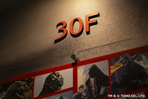 Hotel Gracery Shinjuku, Room