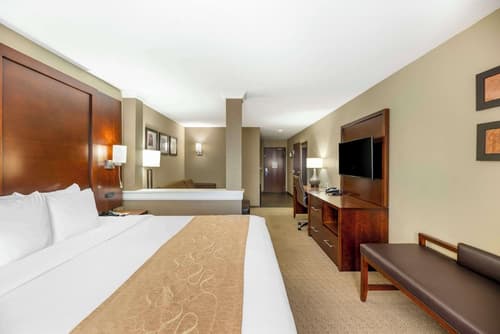 Comfort Suites Carlsbad, Room