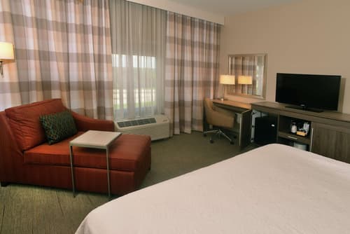 Hampton Inn Springfield-Southeast, Room