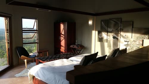 Rhino Ridge Safari Lodge, Room