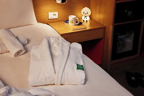 ibis Styles Ambassador Seoul Myeongdong