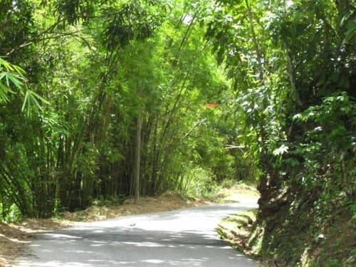 Amanecer: A Retreat and Spa