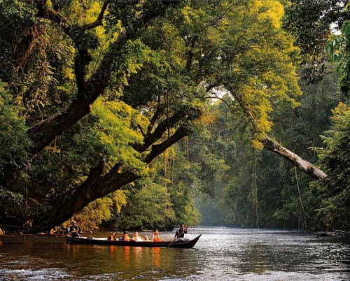 Xcape Resort at Taman Negara, Ecotours