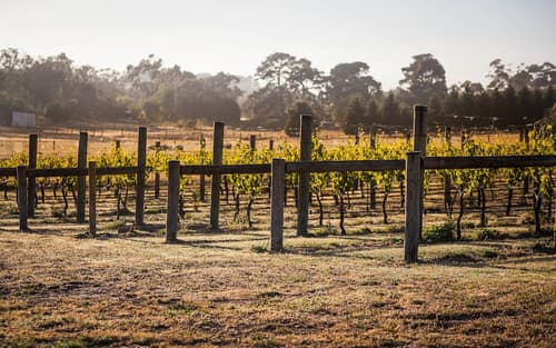 Port Campbell Parkview Motel & Apartments, Lobby