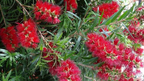 Gariwerd Motel, Property amenity