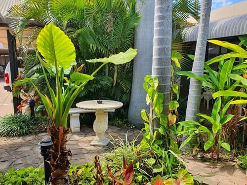 Rockhampton Palms Motor Inn