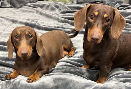 Wilsons Promontory Motel