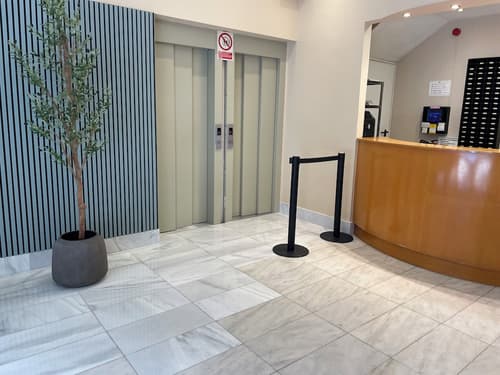 Estudios Aranzazu, Reception