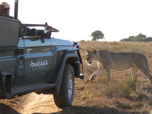 Woodbury Tented Camp - Amakhala Game Reserve