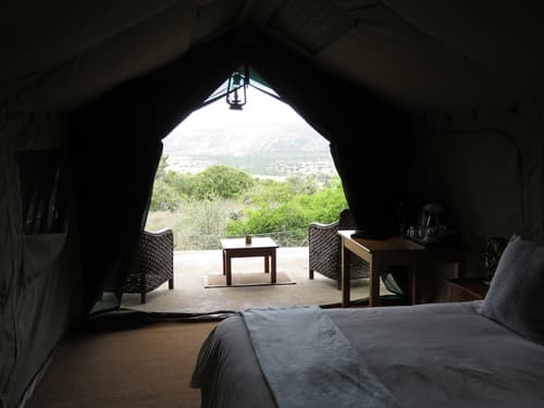 Woodbury Tented Camp - Amakhala Game Reserve