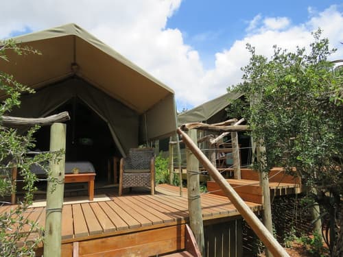 Woodbury Tented Camp - Amakhala Game Reserve, Room