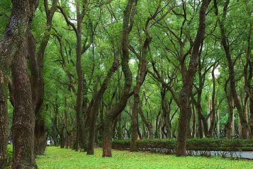 Sonnien Hotel, Garden