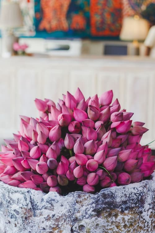 Sigiriana Resort by Thilanka, Interior entrance