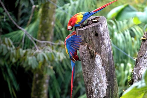 Mountain Top Park Hotel, Exterior