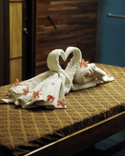 Loman Park Hotel Yogyakarta, Spa