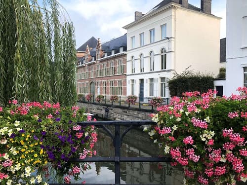 Comic Art Hotel, Primary image