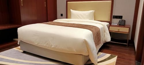 V V Hotel Battambang, Room