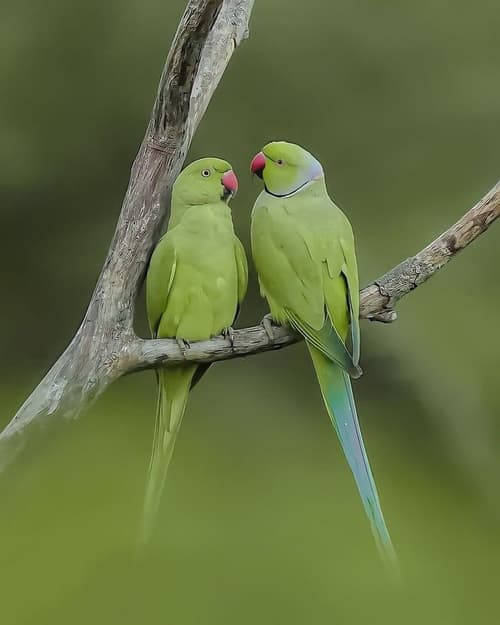 Panorama Inn, Living area
