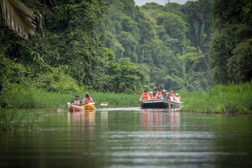 Hotel Pura Natura Beachfront Tortuguero
