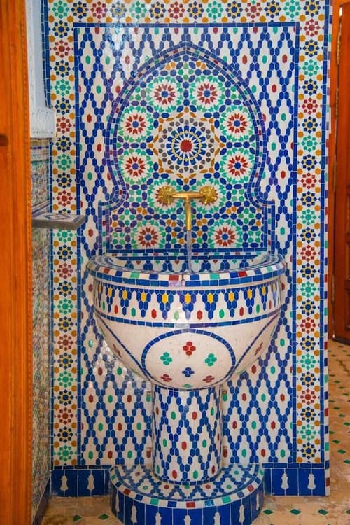 Riad Amely, Reception