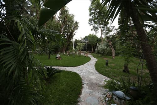 Hôtel El Djazair - Ex St George, Garden