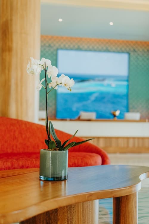 JOIA Aruba by Iberostar, Reception