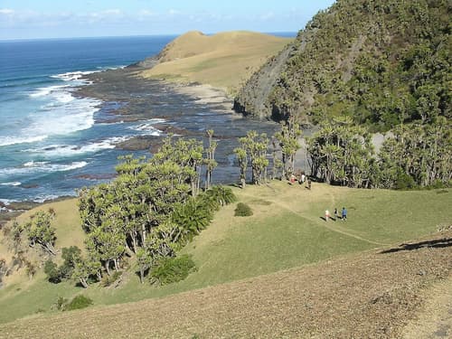 Coffee Shack Backpackers & Self-Catering