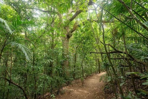 Elida Lodge Monteverde