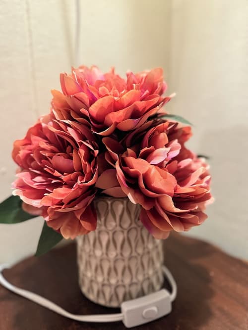 The Boho Buffalo Inn