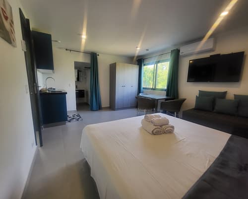 Oasis-Dream Holidays - La Petite France