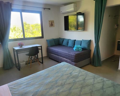 Oasis-Dream Holidays - La Petite France, Room