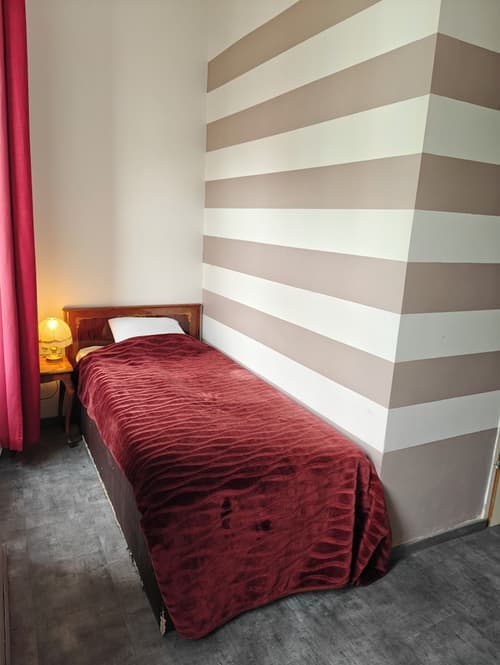Hotel Viki