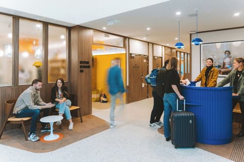 Bikube Lyon, Reception