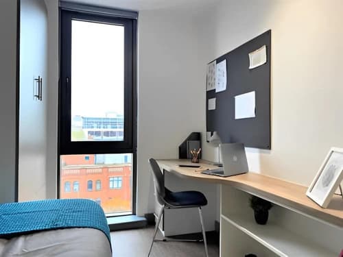 Student Only Little Patrick Street, Room