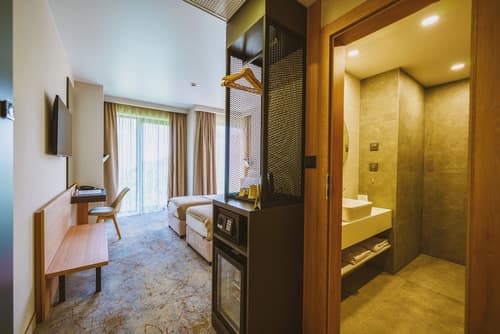 B1 Downtown Hotel, Room