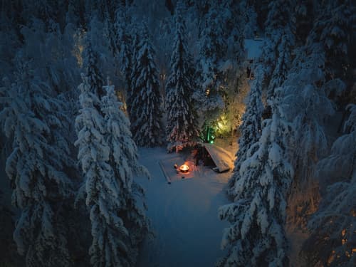 Vaattunki Wilderness Resort