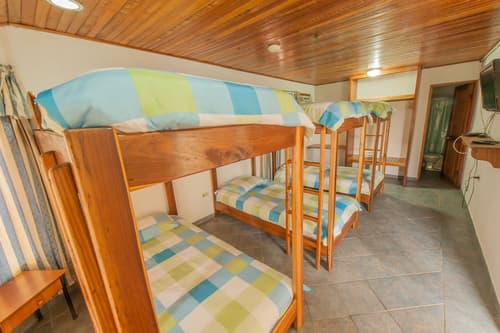 Hotel Posada Los Delfines, Room