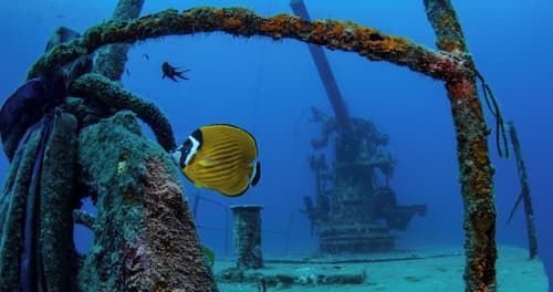 The Tarna Resort, Koh Tao