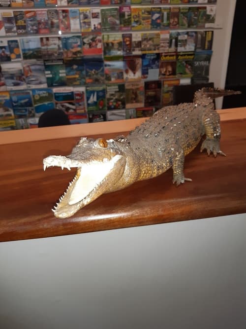 Travellers Paradise Heritage Historical Place - Hostel, Reception