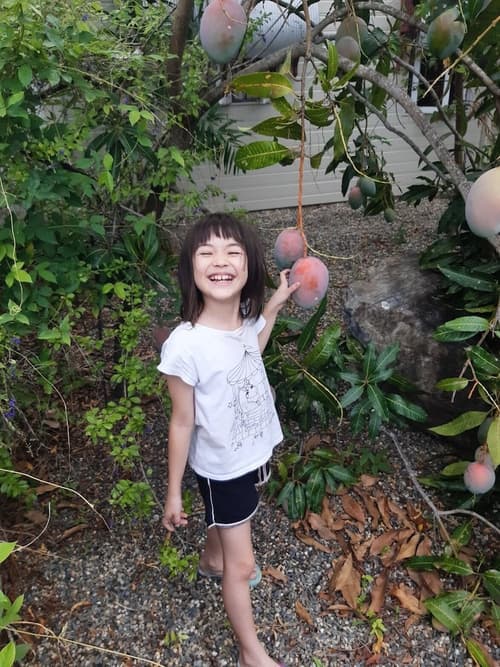 Travellers Paradise Heritage Historical Place - Hostel, Front of property