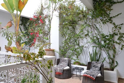 Dar Loulema, Terrace/patio