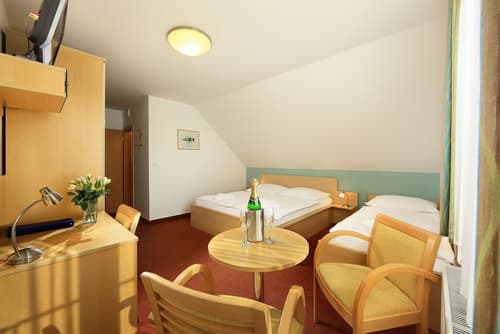 Penzion Krumlov - B&B Hotel, Room