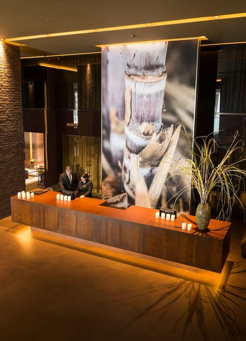 Saccharum Resort, Reception