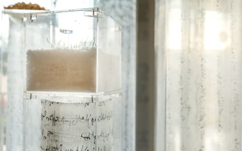 Business Hotel Tunis, Interior entrance