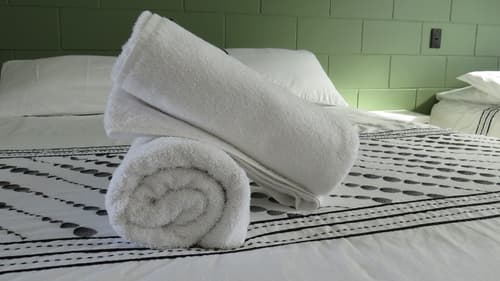 Kuirau Park Motor Lodge, Room