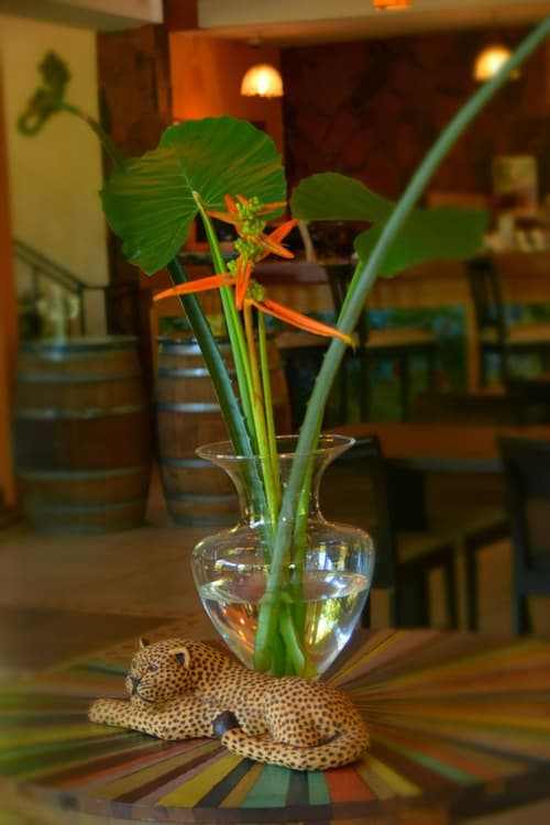 El Pueblito Iguazu, Reception