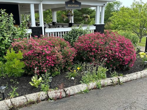 Ceilidh Country Lodge